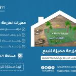 مزرعة البتراء للبيع - القصيم - مركز البتراء التابع لمحافظة النبهانية