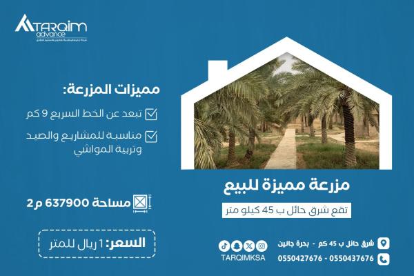 للبيع قطعة أرض 91 - جنوب البدائع