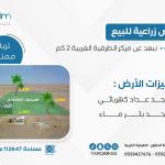 للبيع مزرعة الطرفية الغربية - القصيم - محافظة عقلة الصقور - مركز الطرفية الغربية