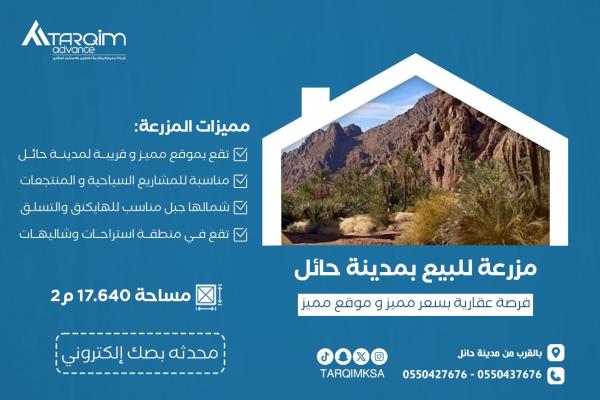 للبيع مزرعة بمدينة حائل - منتجع جبل الحمراء