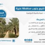 للبيع مزرعة جنوب محافظة عنيزة