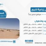 للبيع أرض زراعية - الشنان