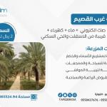 للبيع مزرعة غرب بالقصيم - الفوارة