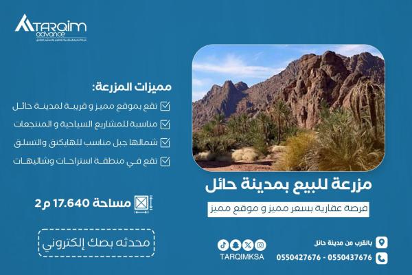للبيع مزرعة بمدينة حائل - منتجع جبل الحمراء